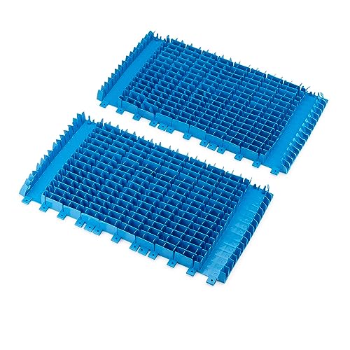 Dolphin Genuine Replacement Part — Front and Rear Light Blue Brushes (2PK) — 6101609-R2